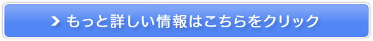 電話占いヴェルニ販売サイトへ